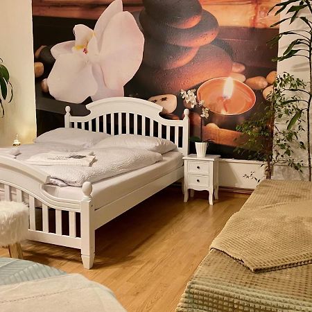 Beauty-Spa Apartment Decin Zewnętrze zdjęcie