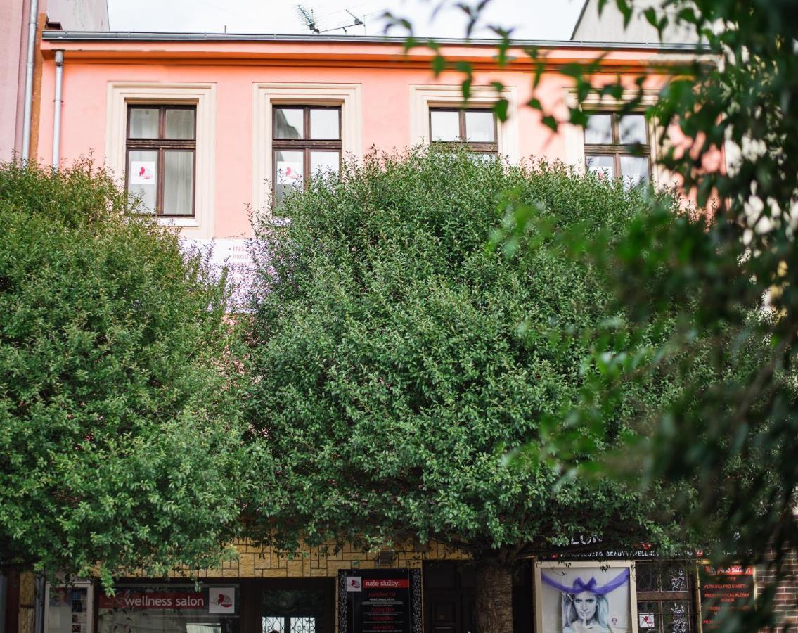 Beauty-Spa Apartment Decin Zewnętrze zdjęcie