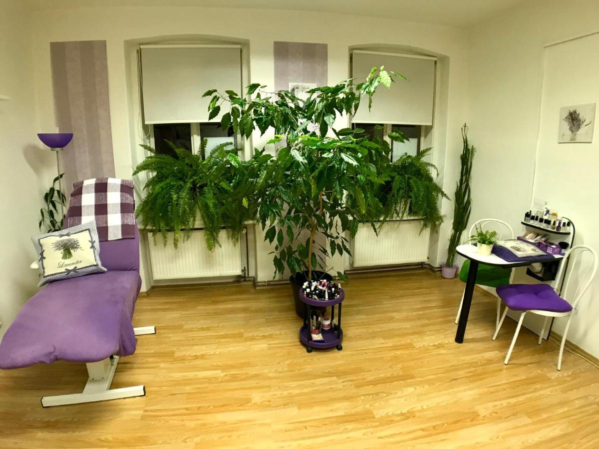 Beauty-Spa Apartment Decin Zewnętrze zdjęcie